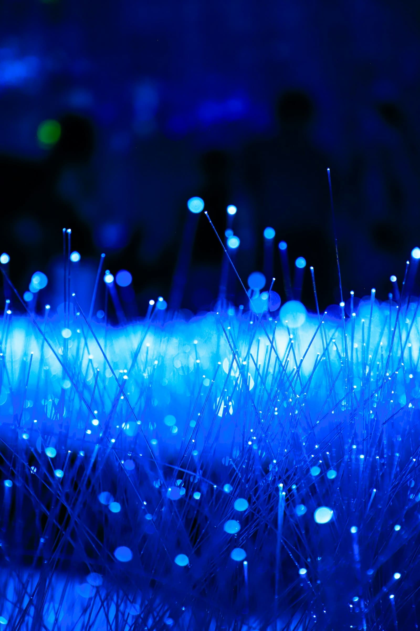 A macro close-up of high-tech fiber optic cables glowing with electric cyan light against a dark obsidian background.